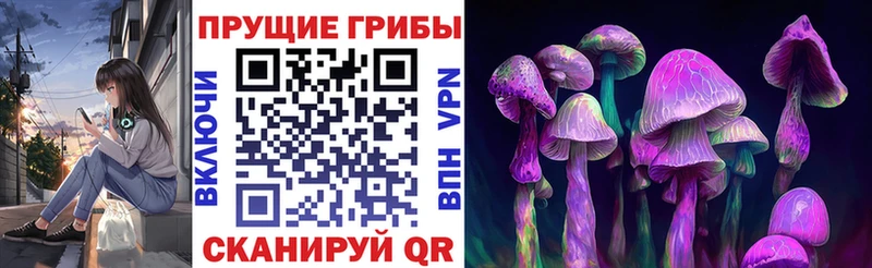 Псилоцибиновые грибы Psilocybine cubensis  как найти закладки  Энем 
